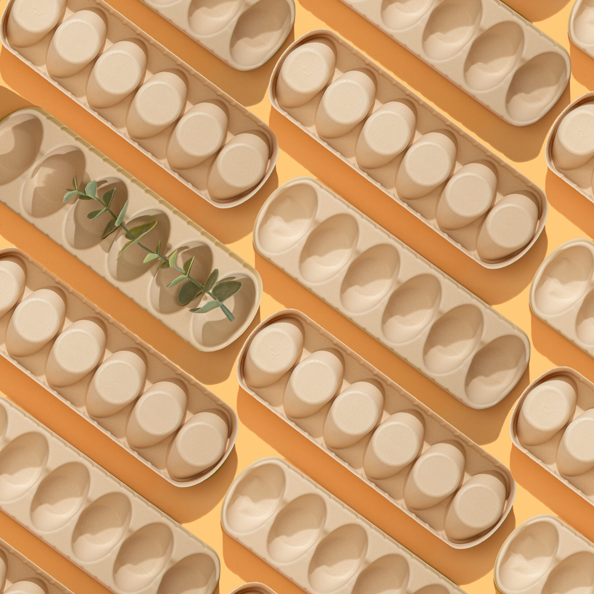 Sustainable Packaging - Algus Eco